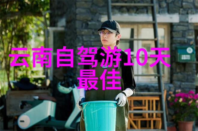 骑行风采女性自行车运动的健康与时尚之美