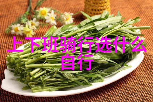 寻找涠洲岛一场奇幻的海岛探险