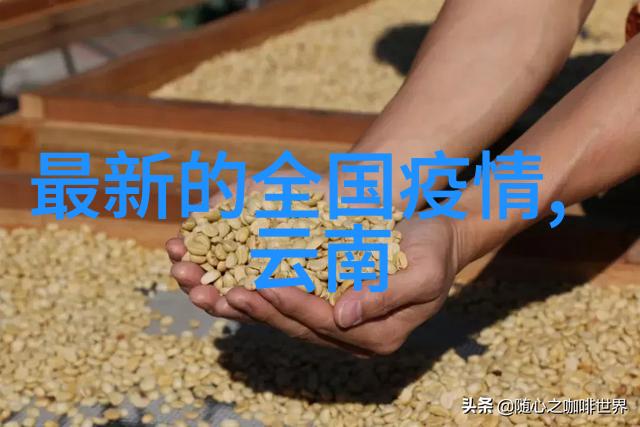 佛山户外露营适合7至12岁儿童的团体游戏活动