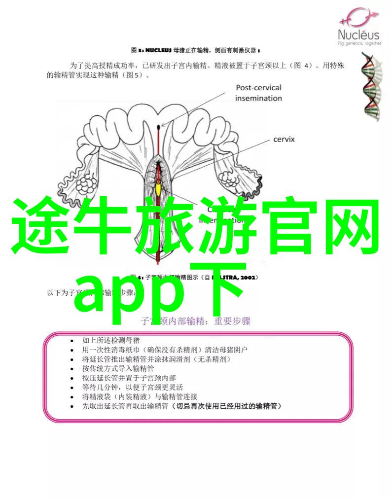 主题你必须知道的2022全球最佳旅游国家排名