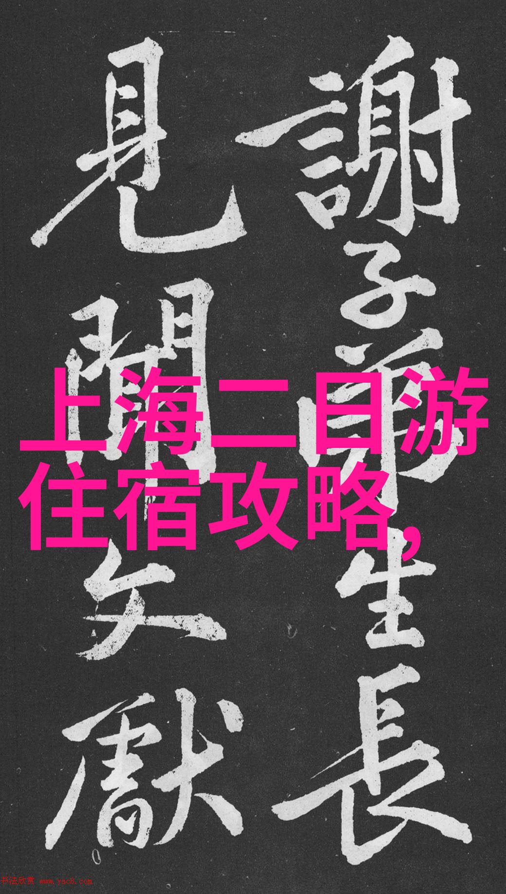 探索虚拟世界一部动漫的奇幻游记
