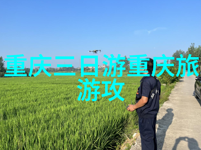 安康景点亲临大熊猫的家园探秘神农架森林公园