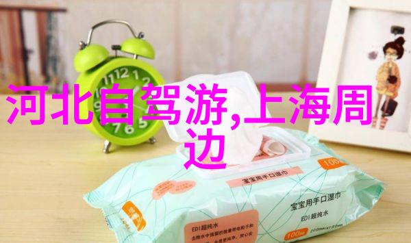 翩跹长袍下的秘密美艳长公主的传奇