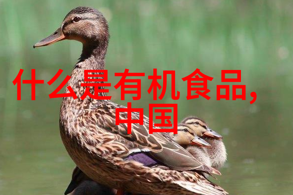 那些被忽视的地方可能藏着惊喜你准备好一起去探险了吗