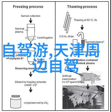 厦门旅游攻略自由行最佳线路5天 - 梵净山南普陀寺和海岸线之旅
