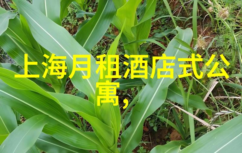 夏日游记初二的暑假旅行记