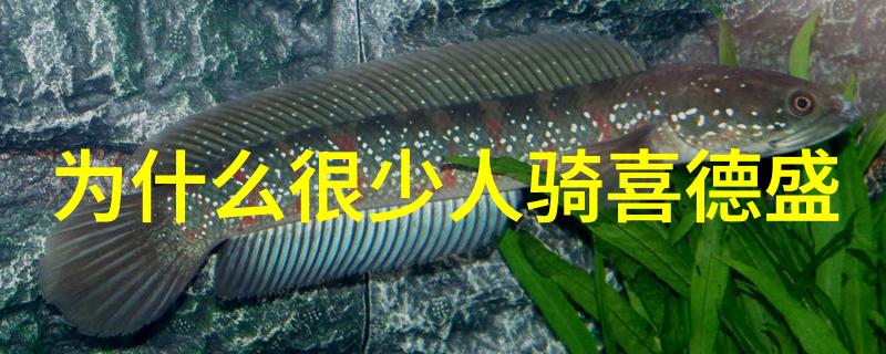 远方的足迹探索奇迹三日游记