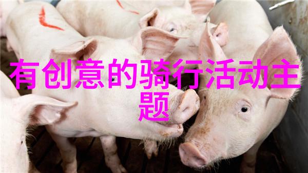 团建拓展游戏大全我来教你玩趣味团队建设的绝妙秘籍