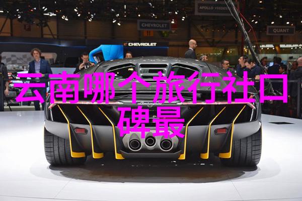 在冬季进行杭州自驾游会有什么特别体验或注意事项