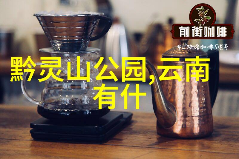 骑行生活我的轮胎故事从街头到山顶一段不一样的自我探索