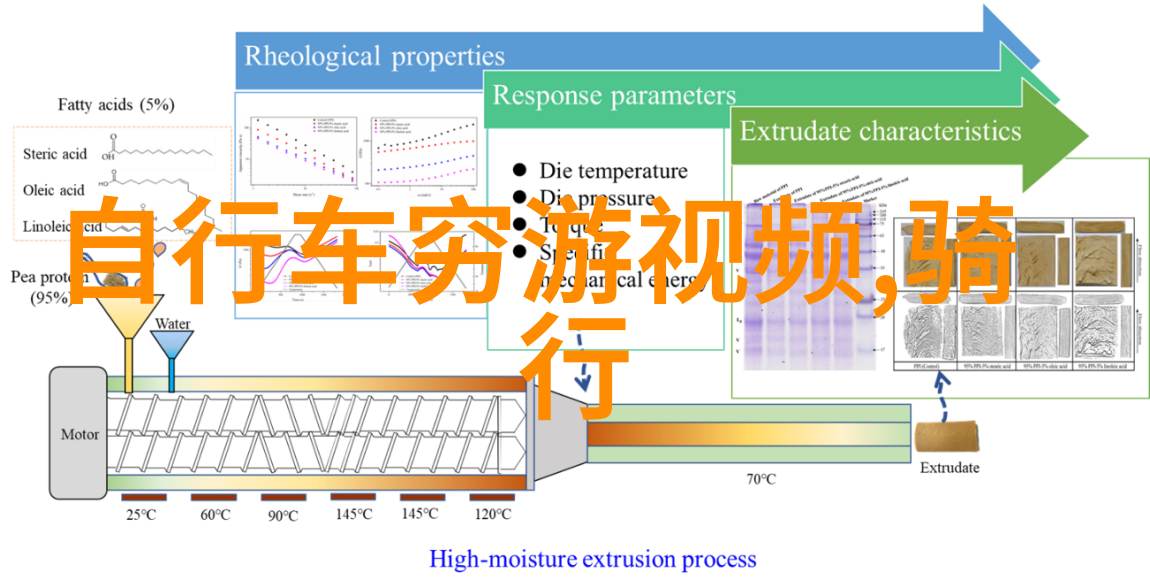 未知边界2023年户外拓展项目的秘密篇章