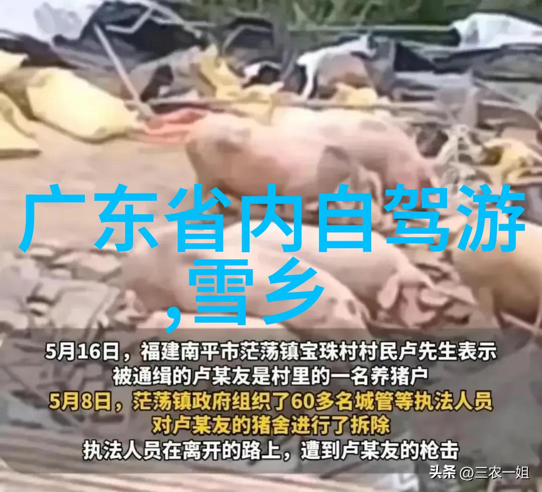 探秘雁荡山一条引领你穿越自然奇迹的旅游攻略