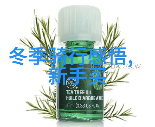 中旅旅行社您的出行选择伙伴