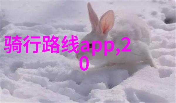 在冰雪皑皑的世界里你知道哪些地方是冬天最适合旅游的地方吗