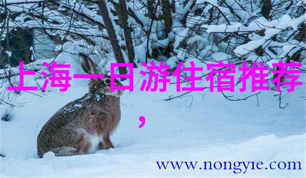 山城魅力济南旅游必游景点指南