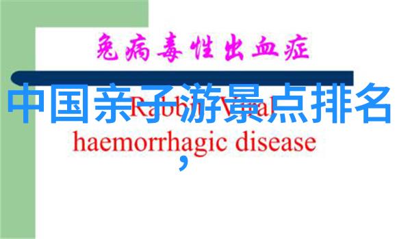 第二次初恋遇见了你我心跳加速