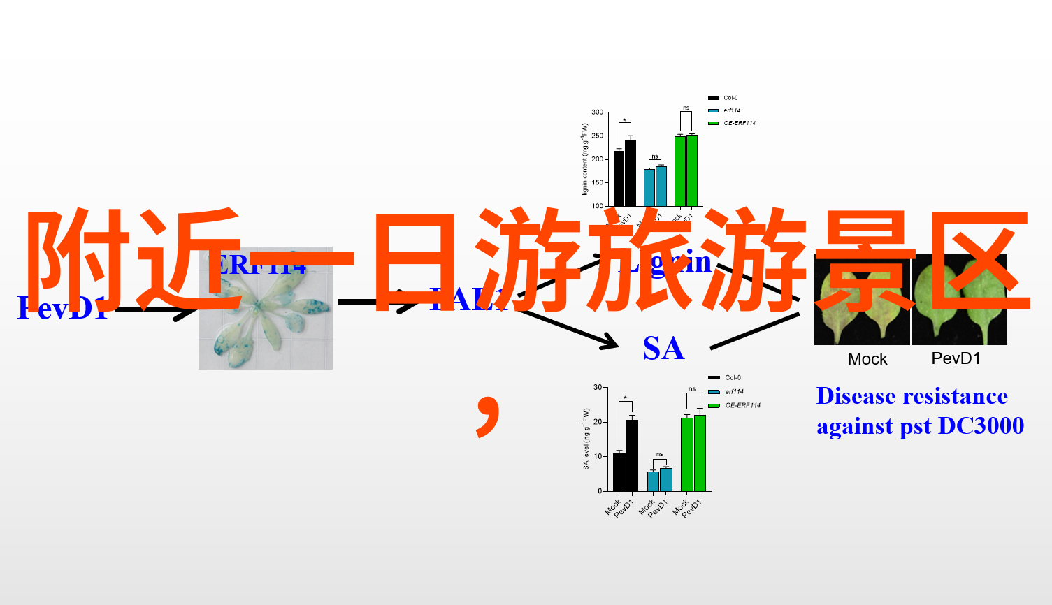在山东省内一日游我们该去哪里玩