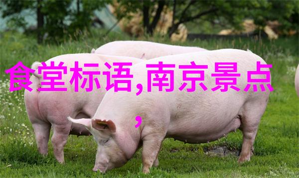 雅鲁藏布大峡谷景区将于2023年3月16日起恢复正常售票
