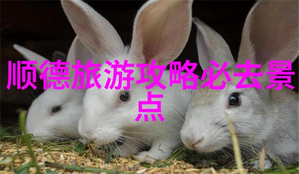 青岛自驾游攻略如何在三天内探索这座城市