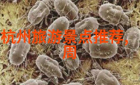 冯婷婷免费阅读我是怎么发现冯婷婷的书可以一夜之间免费阅读的