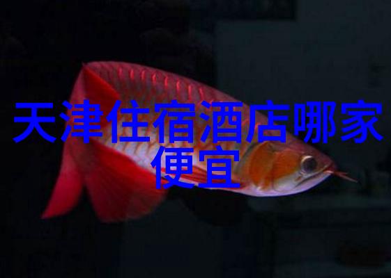 我与大自然的对话泰国清迈之旅