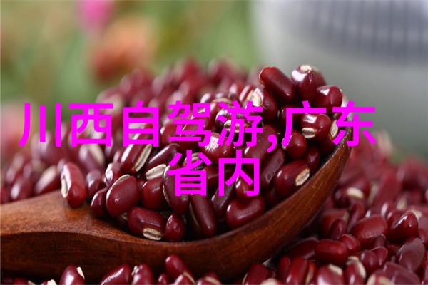 中国11月复航外国人入境政策放宽
