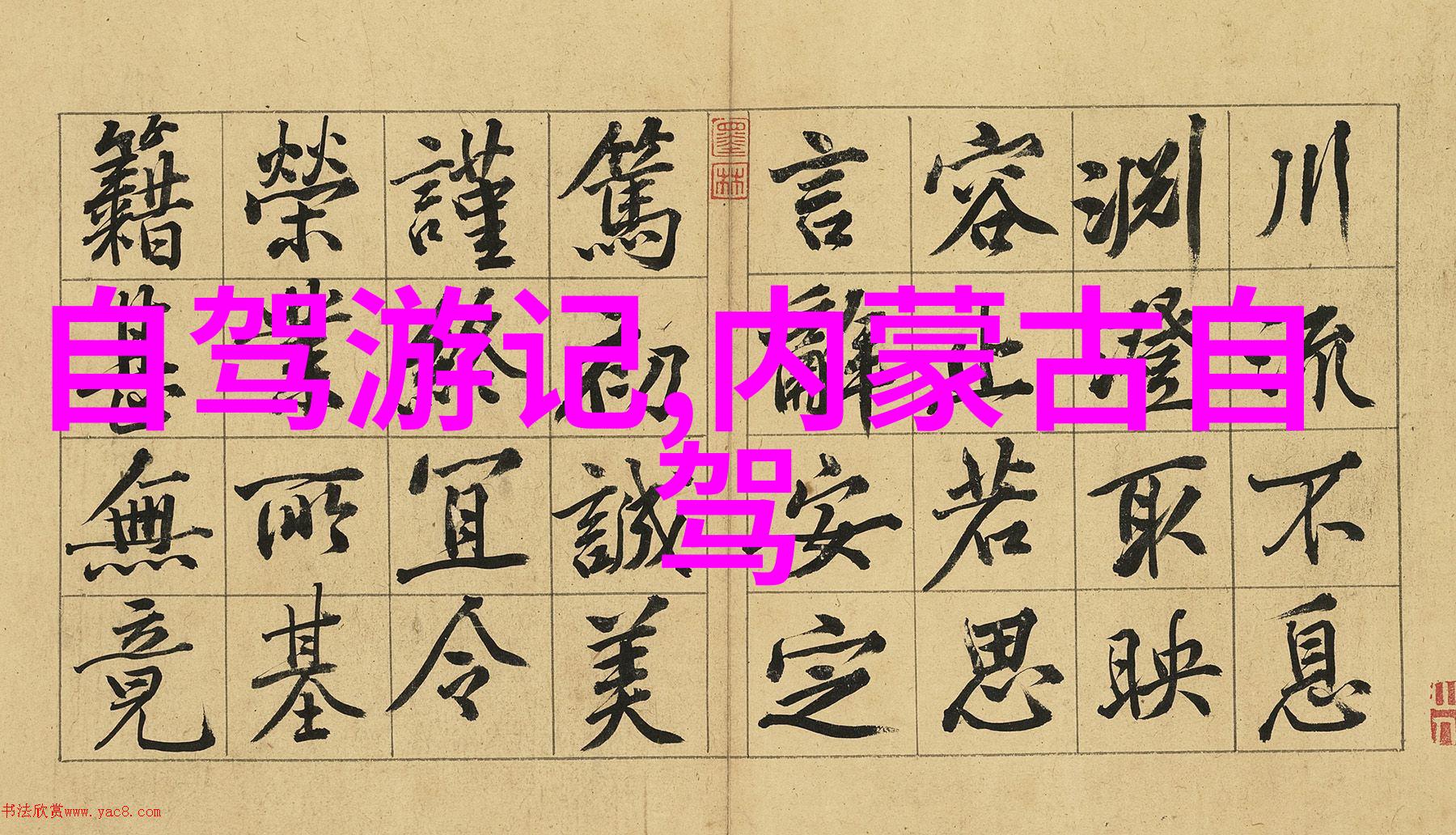 轻量级与耐用性在公路骑行中选择正确的材料