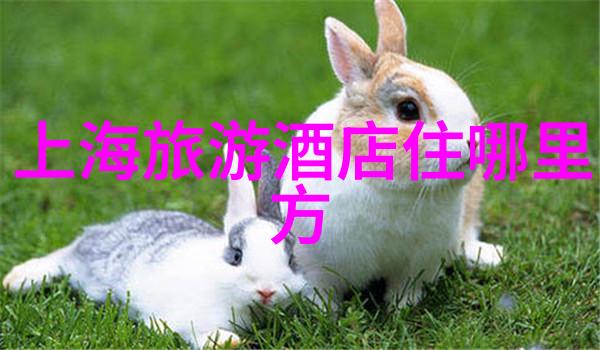 探秘野三坡寻访云南美丽的山城