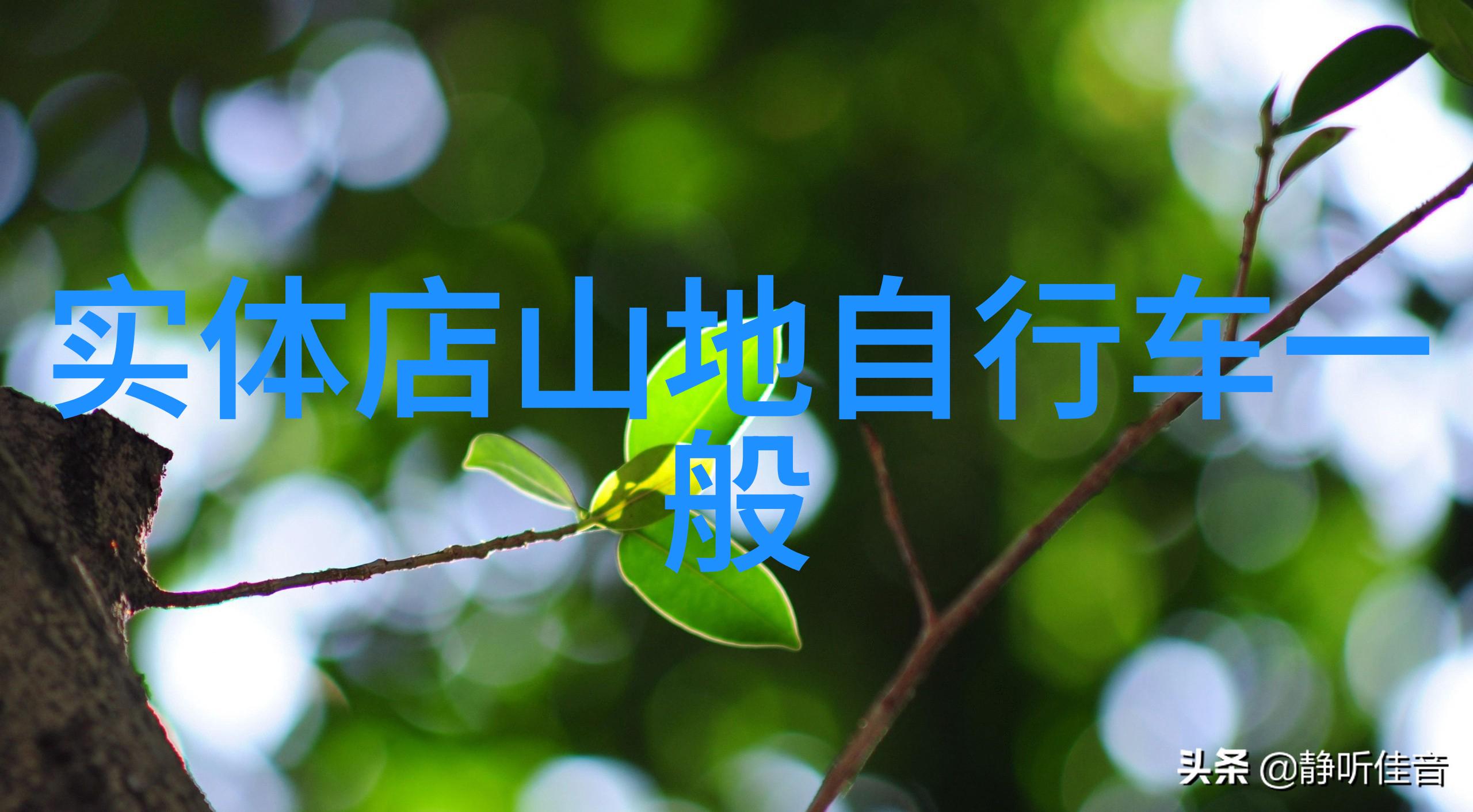 探索故土国内旅游的魅力跨越国界国外旅行的召唤