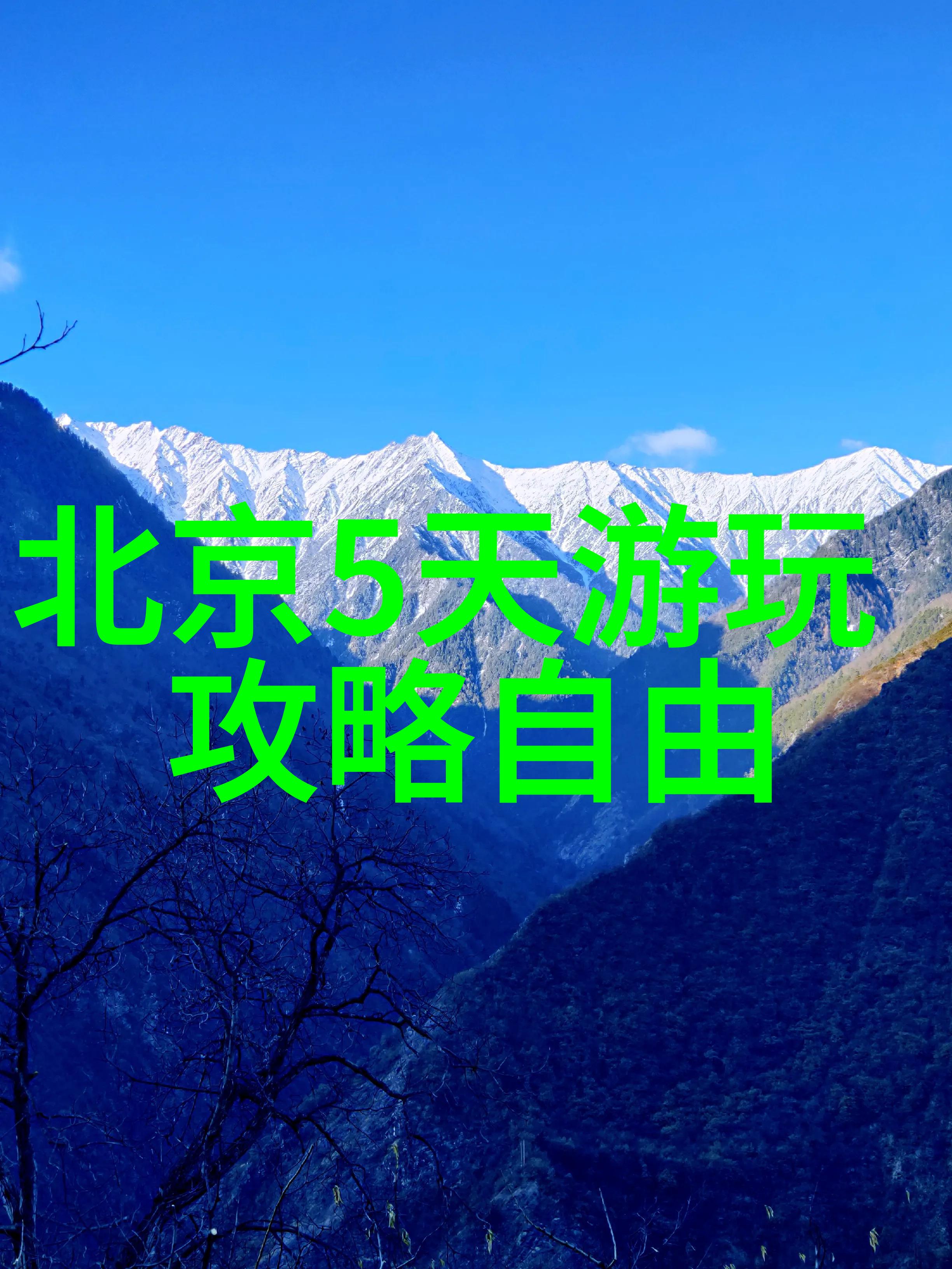 超速追逐手游版