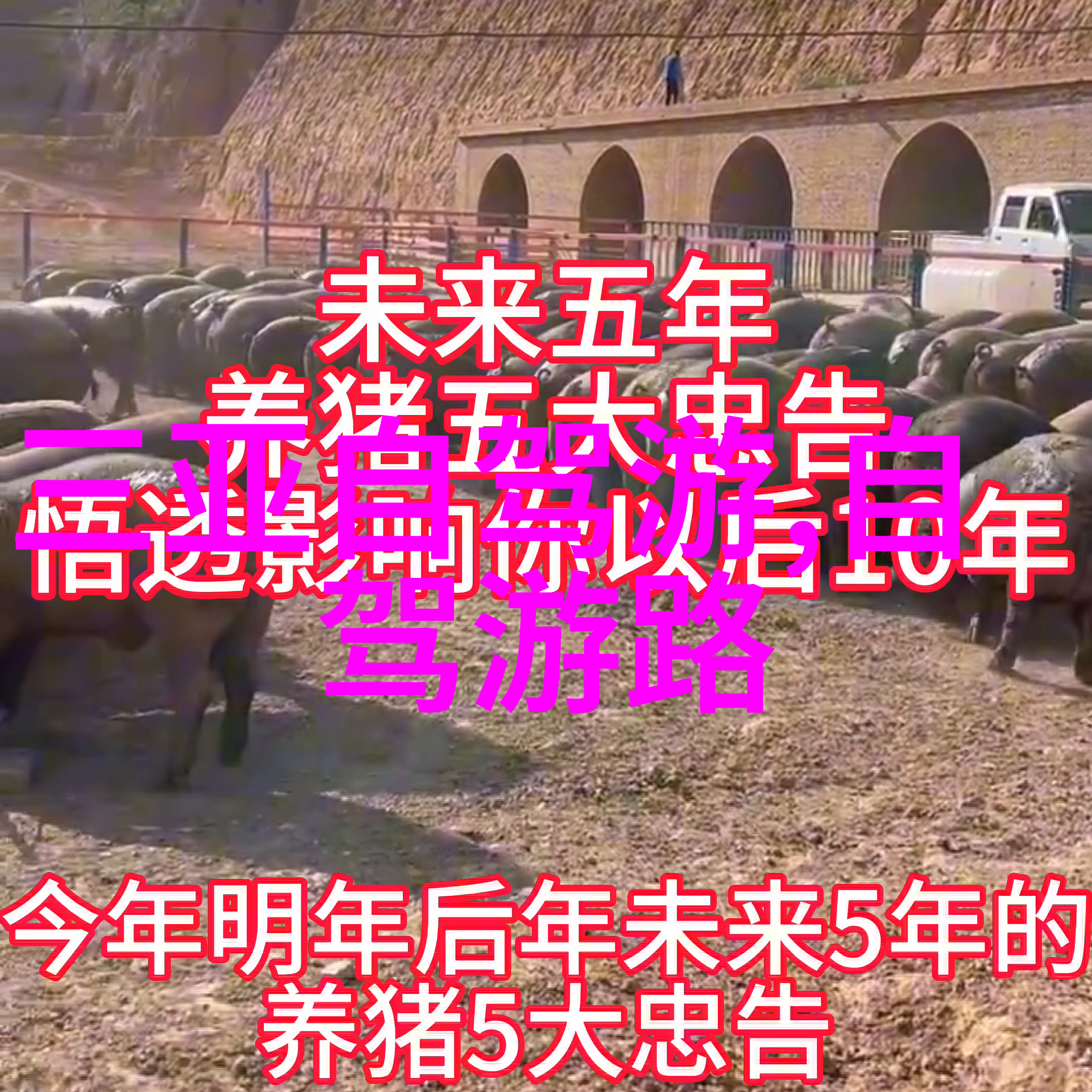 小红书美食-追寻口味的足迹小红书上的美食故事