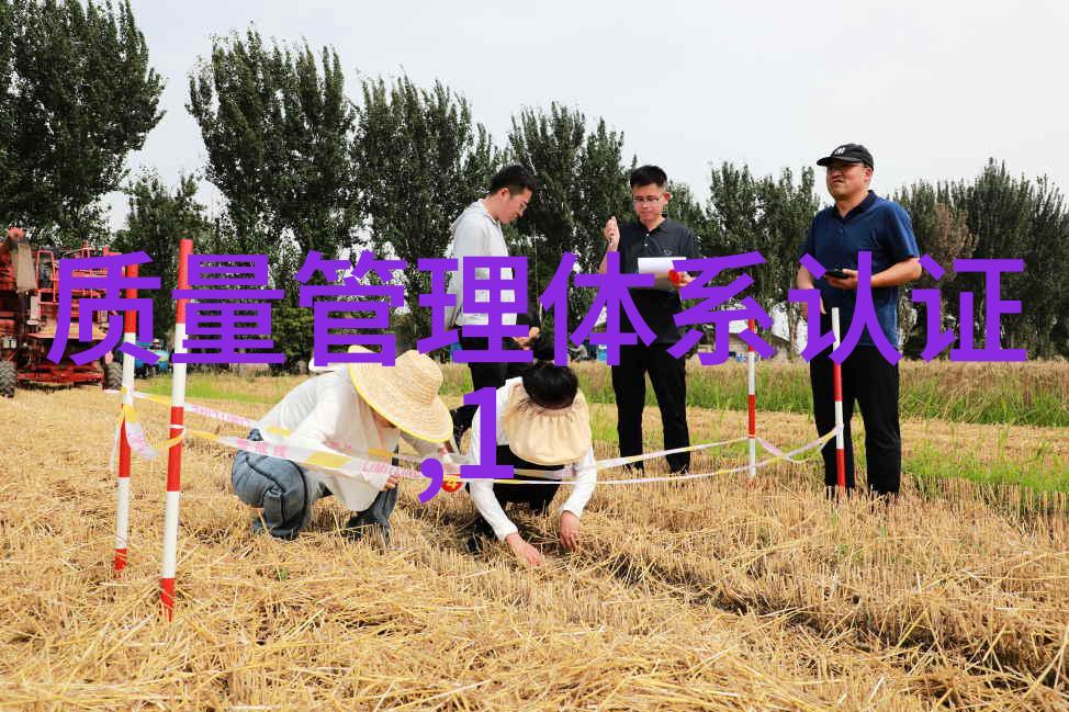 我们应该如何利用科技提升我们的旅行体验