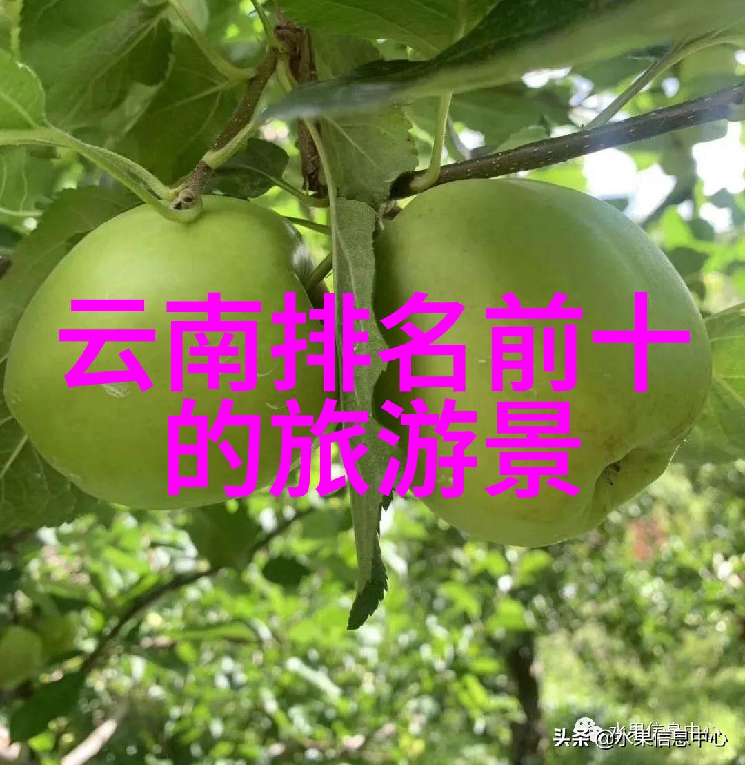 云南自由行2人攻略全览云南旅行指南自由行计划两人团队