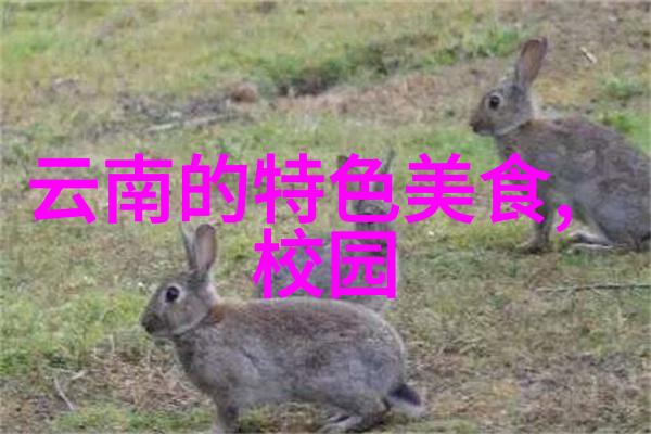 行走江湖摩托车自驾游的心得体会