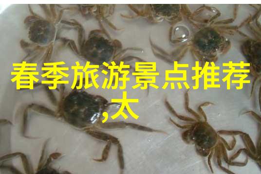 成都五日游攻略详细安排我在成都的五天五夜一份亲测攻略