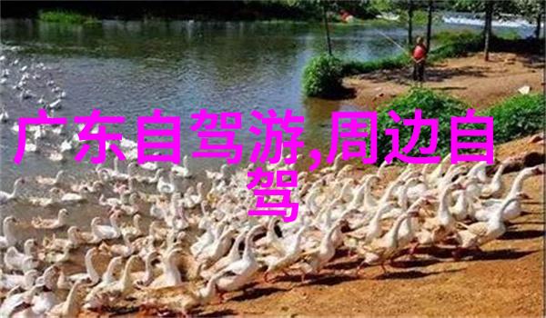 云南旅游景点线路图-云南之冠揭秘一条完美的香格里拉至大理古镇旅行线路