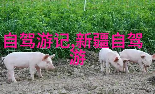 海上丝绸之路沿着内陆水域旅行的乐趣与挑战