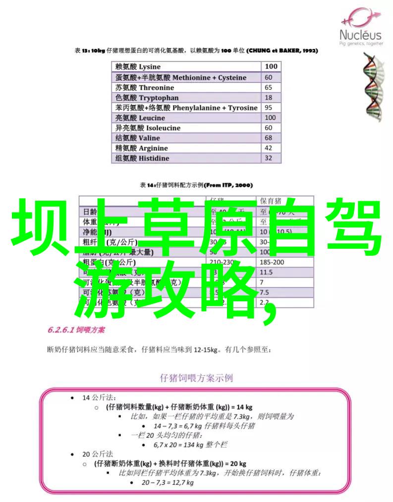 旷日持久的美丽云南大理古城重现千年辉煌