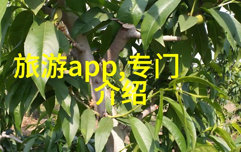 沈阳隐藏的秘密儿童户外拓展训练项目你知道吗
