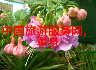 探索最佳道路自驾游应用程序排行榜前十强