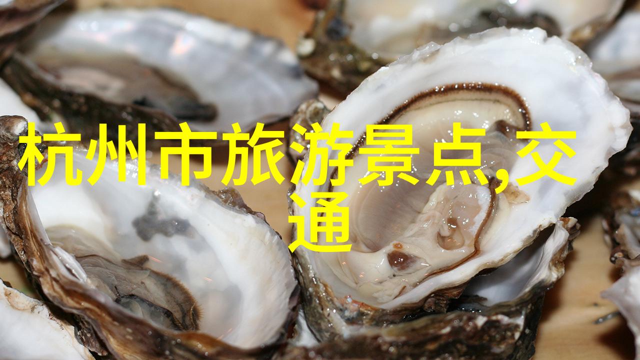 团队协作的艺术策划与实践之美