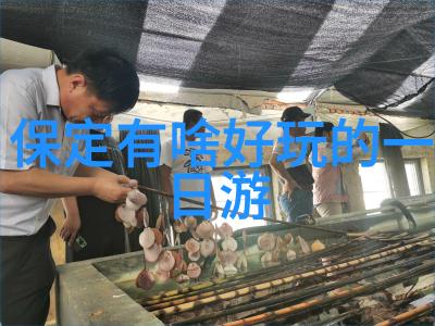 如同旅游加盟排行榜上的冠军涠洲岛也以其独特魅力吸引着游客的脚步那里有哪些必玩景点呢