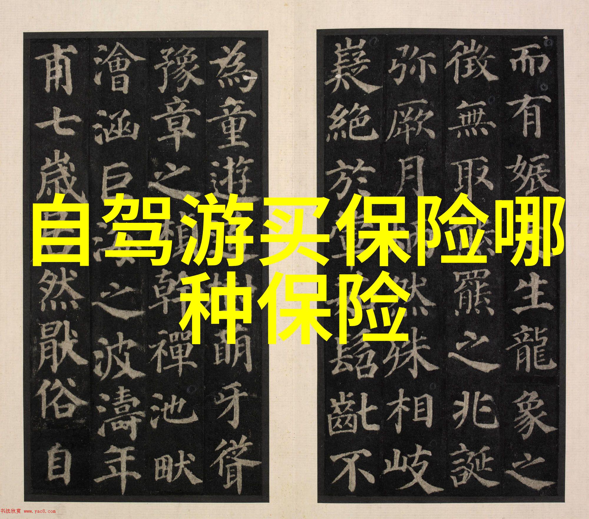 摘星之恋林笛儿的旋律林笛儿的迷人歌声