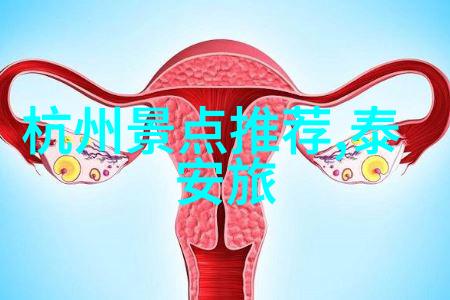 重庆周边自驾游探秘山川美景与文化古迹的同行
