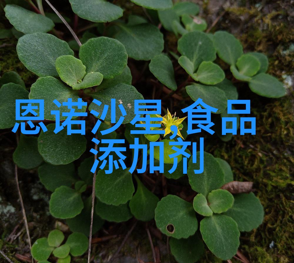 旅游头条新闻10条杭州元旦大放异彩西湖千岛湖等41景区免费游待你来体验