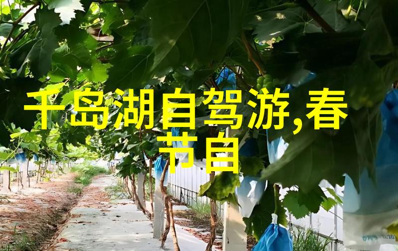 全国十大民宿加盟排行榜抢先看行业巨头的强势排行