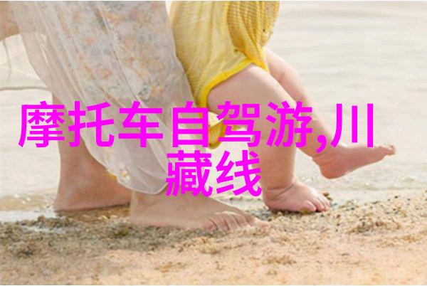 荒野求生川藏骑行者与狼的奇遇