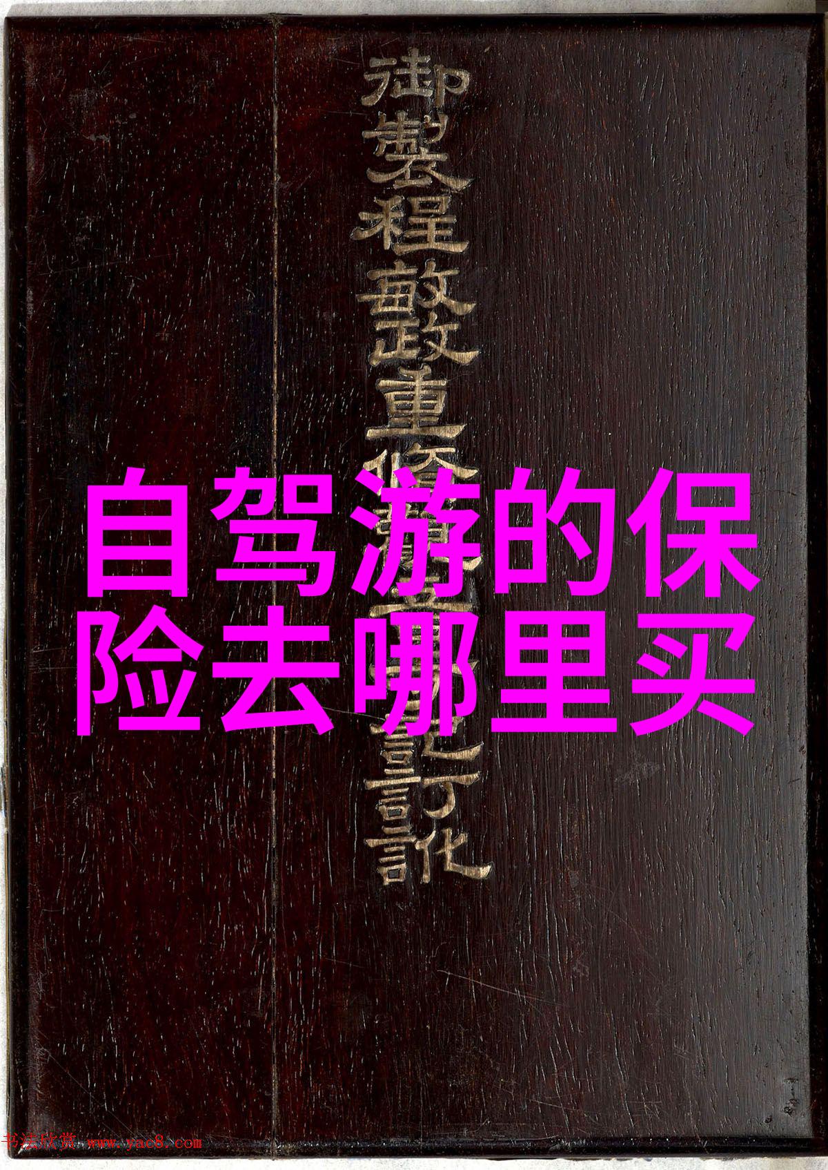 探索粤港澳大湾区的边界深圳周边自驾游研究