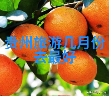 游记-初二学生的夏日海边探险