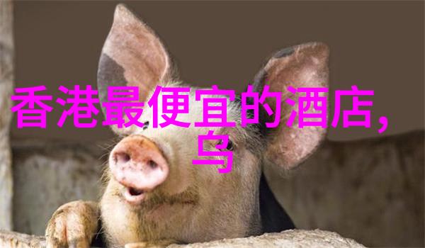 内蒙古旅游攻略自由行必备指南